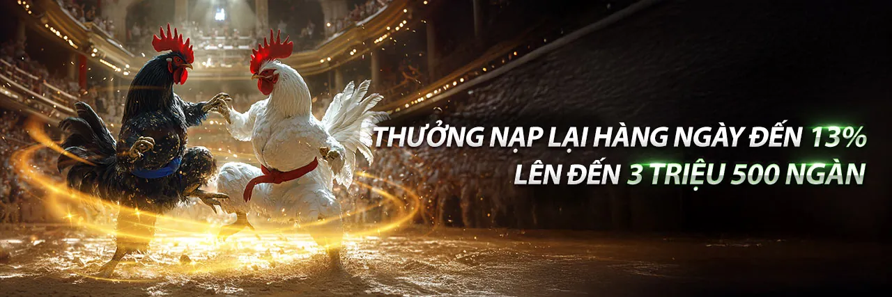 Đá gà trực tiếp Falconbet