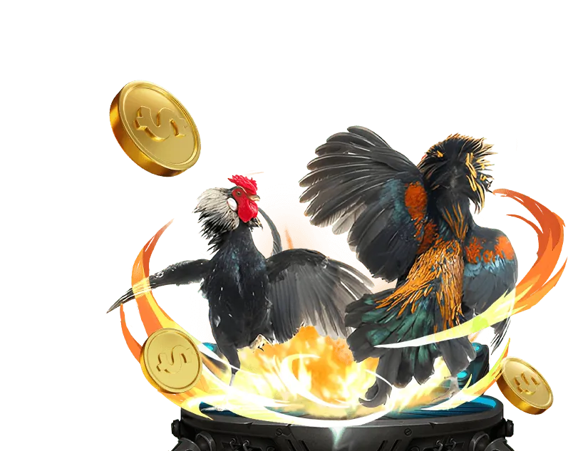 Hướng dẫn đăng ký Falconbet